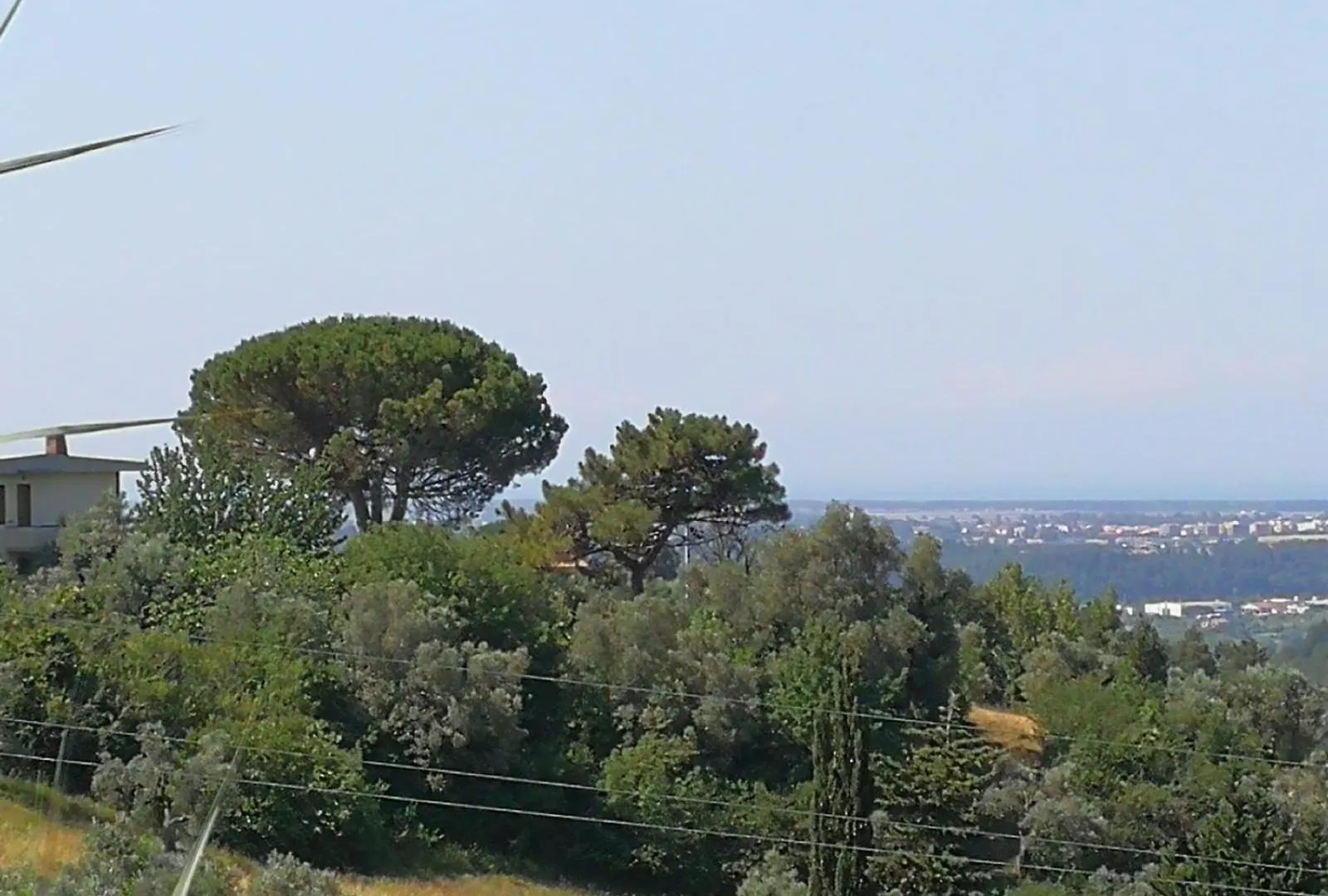 Agriturismo Il Badalo Riparbella Italy
