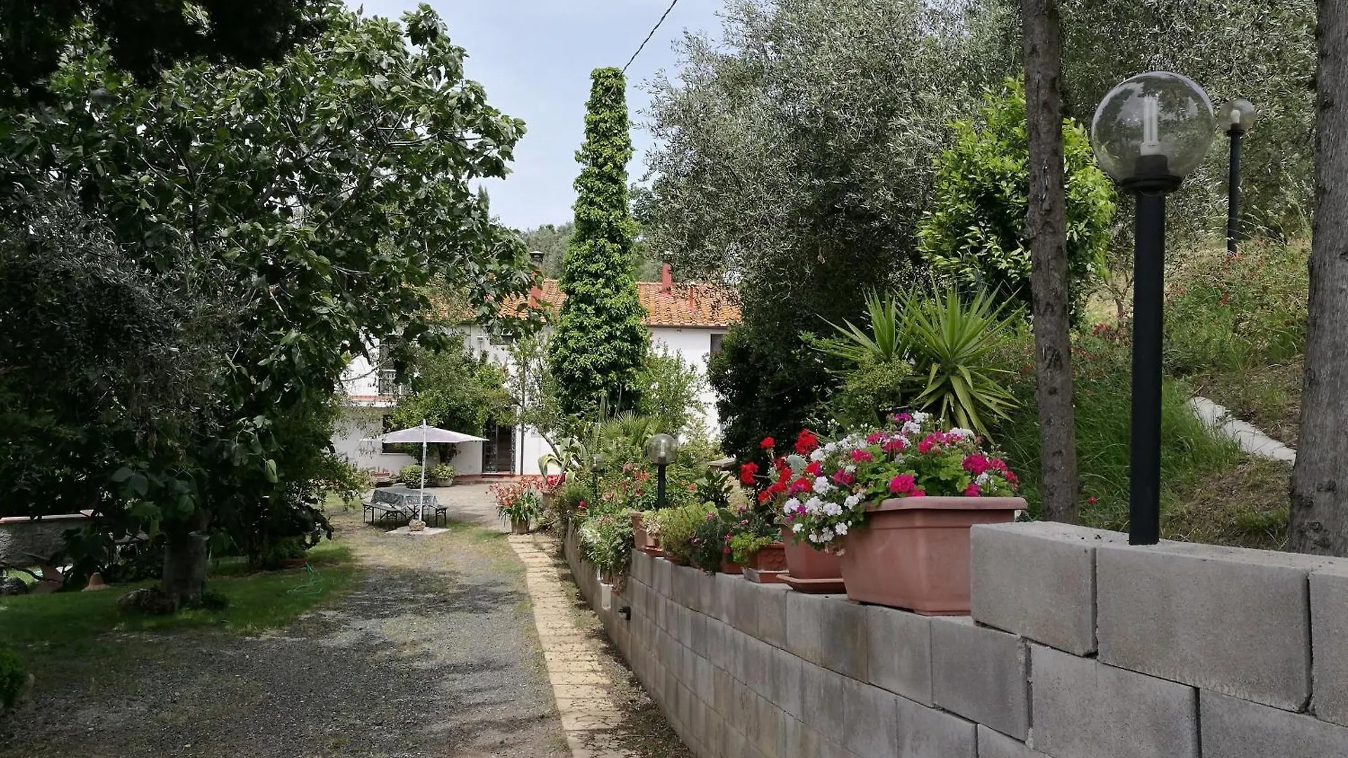 Farm stay Agriturismo Il Badalo Riparbella