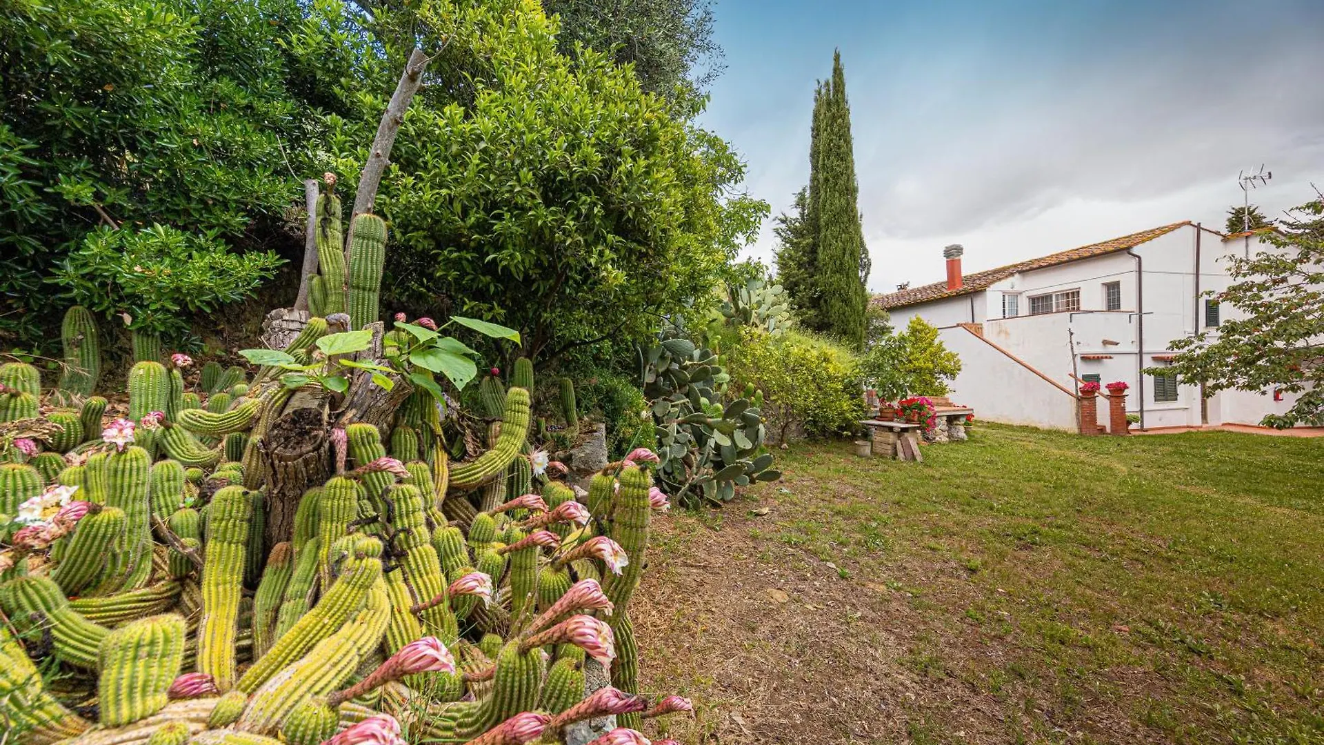Agriturismo Il Badalo ريباربيلا مزرعة للإقامة